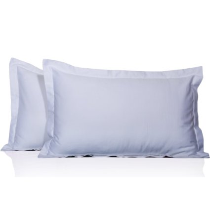 100% Egyptian Cotton 450 Thread Count 2 Pc Pillow Shams Solid Pattern All Size & Colors ( Standard , White)