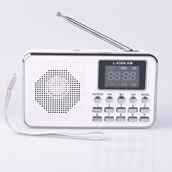 Mfine Portable Mini USB AM/FM Radio Speaker Music Player Micro SD/TF Card For PC iPod Phone (938B White)