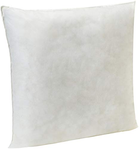 AmazonBasics Pillow Insert - 20-Inch Square, Single