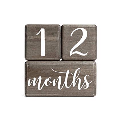 LovelySprouts Premium Solid Wood Milestone Age Blocks | Choose from 2 Stain Options (Gray) | Baby Age Photo Blocks | Perfect and Keepsake