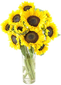 Happy Days Sunflower Bouquet: 10 Bright Yellow Sunflowers with Vase