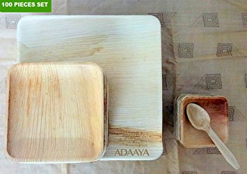Disposable Plates - Size 10'' - Heavy Duty & Eco Friendly – Better than Wood & Bamboo- Square Shape - Made of Palm Leaf
