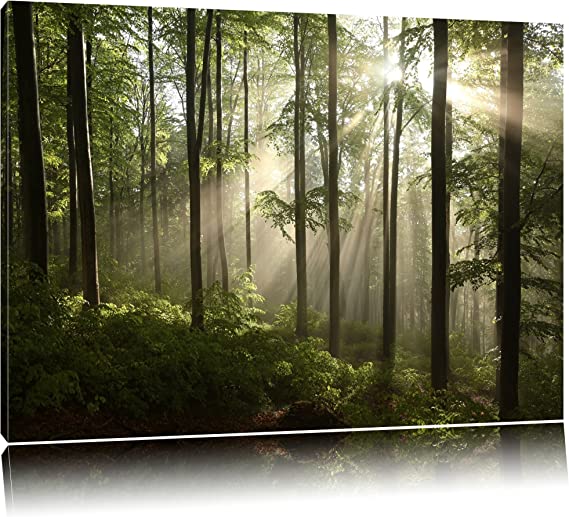 Sunbeams in the forest canvas, XXL huge Pictures completely framed with stretcher, Art print on wall picture with frame, cheaper than oil paintings and picture, no poster or poster size: 100x70 cm