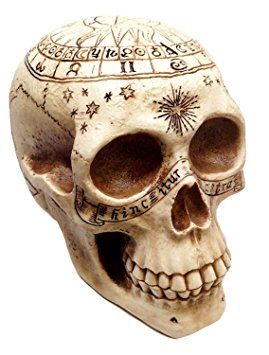 Atlantic Collectibles Solar Astrology Ancient Prophecy Cartography Relic Map Skull Decorative Figurine