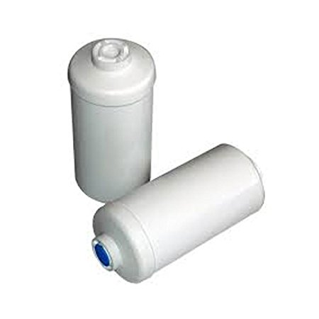 Berkey PF-2 Fluoride/Arsenic Filter, 2-Pack