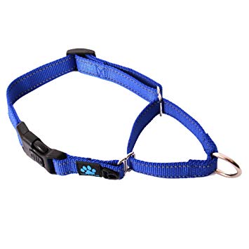 Max and Neo Nylon Martingale Collar - We Donate a Collar to a Dog Rescue for Every Collar Sold