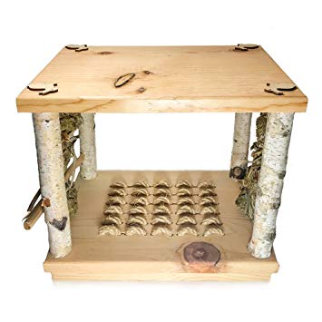 Small Pet Select Wonderland Play Table