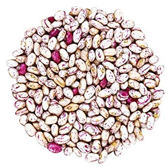 Organic Cranberry Beans, 25 Pounds - Dried Borlotti Beans, Non-GMO, Kosher, Raw Romano Beans in Bulk, Product of the USA