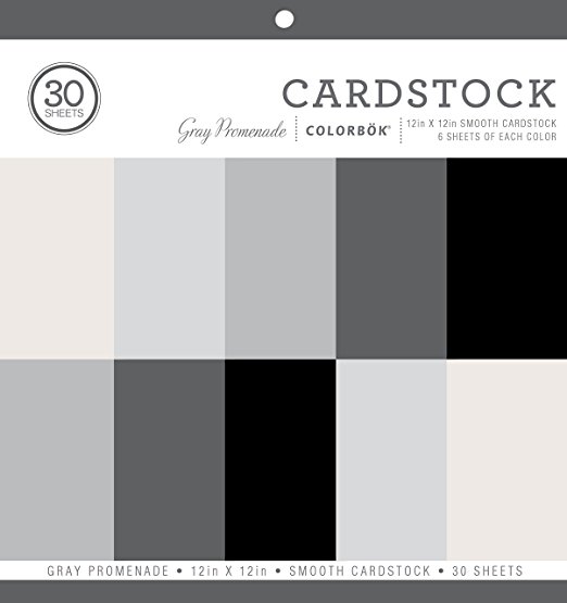 ColorBok 71880A Smooth Cardstock Paper Pad, Gray Promenage, 12" x 12"