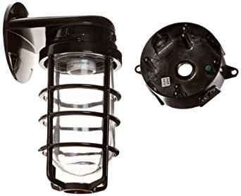 RAB Lighting VXBR100DGB Vaporproof VXBR 4" Wall Bracket with Glass Globe and Cast Guard, A19 Type, Aluminum, 150W Power, 1/2" Hub, Black