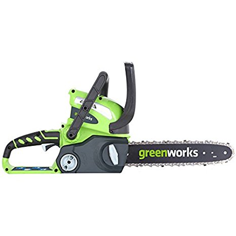 GreenWorks 2000219 40V 12" Cordless Chainsaw, Includes Battery and Charger