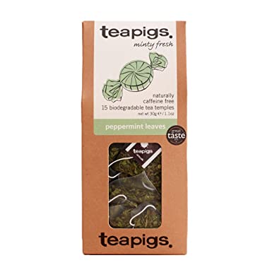 Teapigs Peppermint Leaves Tea Bags Made with Whole Leaves , 15 Count (Pack of 1)