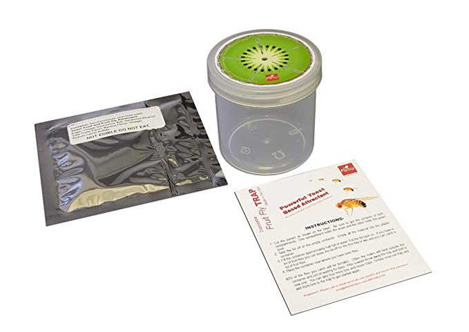 Fly Science Kiwi Fruit Fly Trap. Female Fruit Flies Need a Protein Meal of Yeast to Lay Eggs. We Attract Fruit Flies Out of Your Kitchen for a Month with Specialty Yeast. Non-Toxic, Pet and Kid Safe.