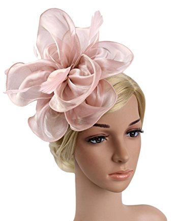 Urban CoCo Women's Vintage Flower Feather Mesh Net Fascinator Hair Clip Hat Party Wedding