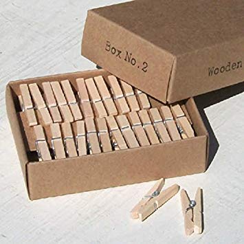 Mini Wooden Craft Pegs - Boxed 50