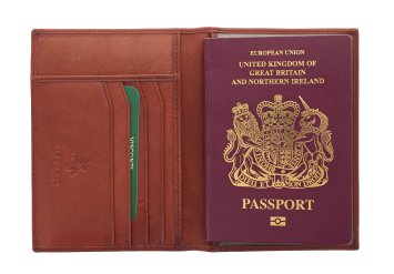 Visconti POLO Collection Leather Passport Holder 2201 Brown