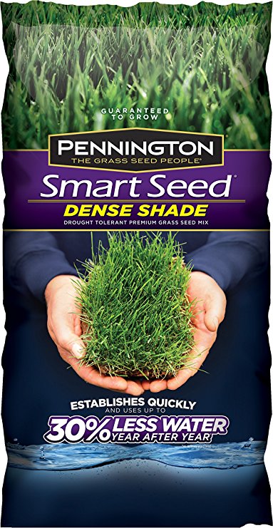 Pennington Smart Seed Dense Shade Premium Grass Seed, 3-Pound