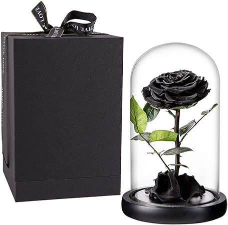 Preserved Rose Black Roses Handmade Preserved Flower Real Rose in Glass Dome, Preserved Roses Never Withered Romantic Gifts for Her, Valentine's Day, Mother's Day, Birthday (9 inch, Black)