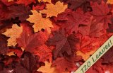 120 Artificial Fall Maple Leaves in a Mixture of Autumn Colors - Great Autumn Table Scatters for Fall Weddings and Autumn Parties