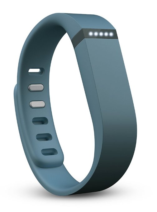 Fitbit Flex Wireless Activity  Sleep Wristband Slate