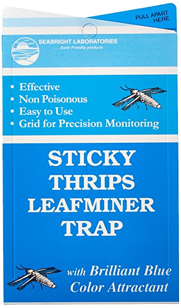 Hydrofarm HGSLTLT 5-Count Sticky Thrip Leafminer Trap
