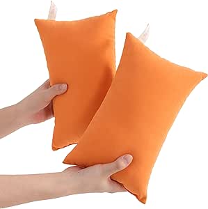 NTBAY 2 Pack Pillows, 11"x7" Microfiber Mini Pillows for Travel, Pets, Soft Machine Washable Small Pillows for Neck, Wrist, Lumbar and Knee, Orange