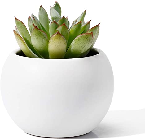 POTEY Mini Succulent Cactus Planter - 2.3 Inch Plant Containers Indoor Bonsai Pot Unglazed with Drain Hole - Globe, White