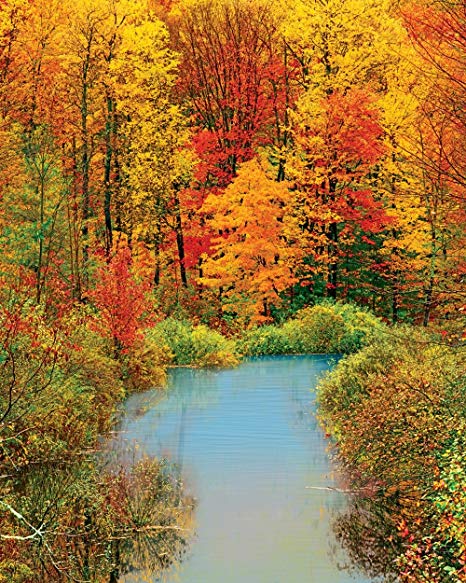 Springbok Puzzles - Autumn Reflection - 1500 Piece Jigsaw Puzzle - Large 28.75 Inches by 36 Inches Puzzle - Made in USA - Unique Cut Interlocking Pieces