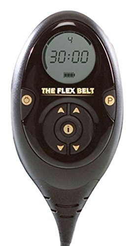 The Flex Belt - System Controller & Charger (Flex Belt not Included)