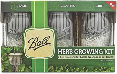 Ball 1440016022 Self-Watering Herb Growing Kit, Clear