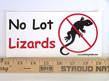 Magnet No Lot Lizards Magnetic Bumper Sticker