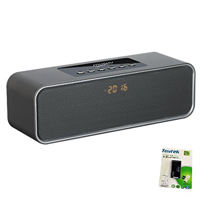 Portable Bluetooth Stereo Speaker, 2X5W Dual Acoustic Drivers, FM Radio, Handsfree Speakerphone, Micro SD Card, USB and AUX-In Slots for Smart Phone, MP3, MP4, iPad, Tablet and More (Grey)