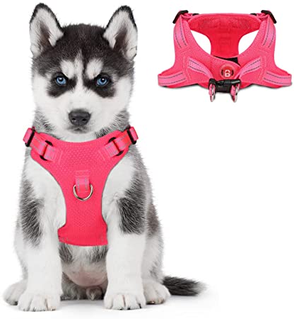 Dog Harness Step in Dog Vest Harness , Reflective Adjustable Puppy No Pull Harness Breathable Soft for Small and Medium Dogs,Cats