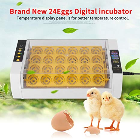 GOTOTOP 24 Eggs Incubator Automatic Digital Incubator Chicken Duck Egg Hatcher with Temperature and Humidity Control UK Plug