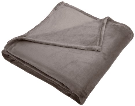 Pinzon Velvet Plush Blanket - Twin, Grey