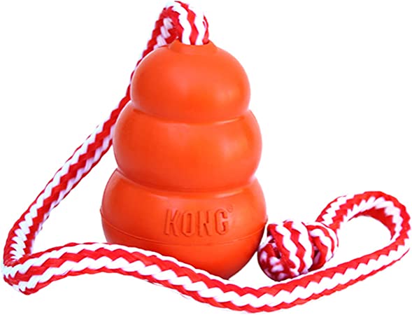 KONG Aqua - Floating Fetch Toy for Water Play - For Large Dogs