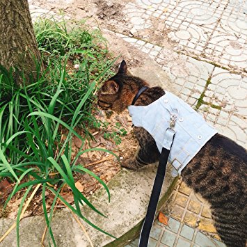 Cat Jeans Jacket Harness Vest with Matching Lead Leash Set