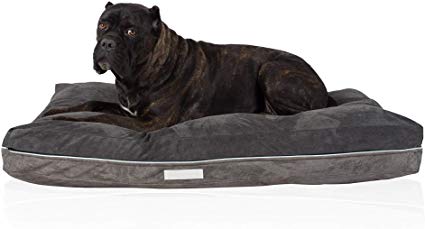 Laifug Super Value Dog/Pet Bed with Removable Washable Cover