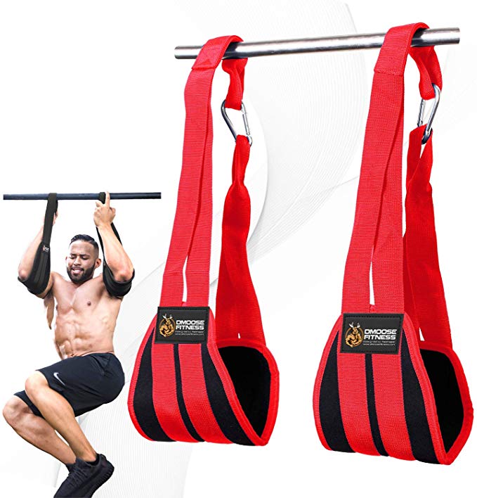 DMoose Fitness Hanging Ab Straps for Abdominal Muscle Building and Core Strength Training, Adjustable Arm Support for Ab Workouts, Padded Gym Equipment for Men and Women