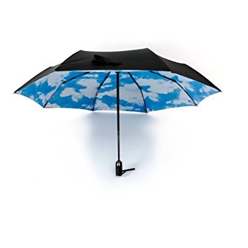Dragon-Hub Double Layer Automatic Windproof 41.73inch Large Travel Umbrella Auto Open & Close Compact Umbrella with UV Protection Reverse Folding (Blue Sky)