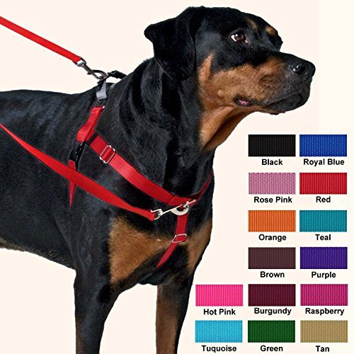 Freedom No-Pull Harness ONLY: 9 Colors, 7 Sizes