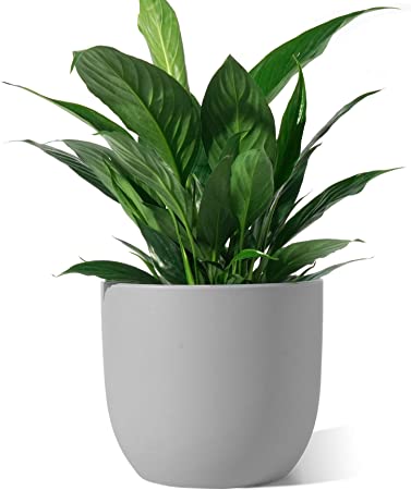 Ceramic Plant Pot - POTEY 7 Inch Modern Round Decorative Indoor Planter with Drainage Hole and Plug for All House Plants - 809, Gray