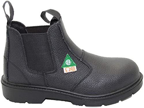 Dolphin D5 CSA Approved Safety Shoes, Construction Boots, Work Shoes