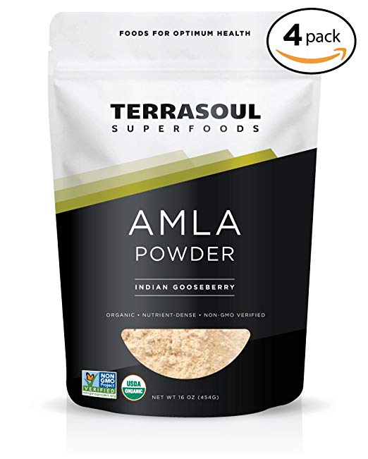 Terrasoul Superfoods Organic Amla Powder (Amalaki), 4 Lbs - Rich in Antioxidant Vitamin C | Supports Immunity