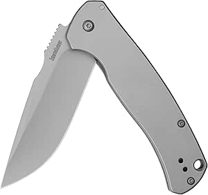 Kershaw Scour Folding Pocket Knife, 3.3 inch 8Cr13Mov Silver Blade, Stainless Steel Handle, Frame Lock, Pocketclip