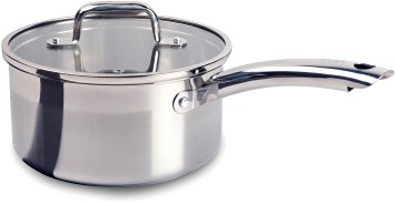 T-fal C81124 Elegance Stainless Steel Dishwasher Safe 3-Quart Source Pan with Glass Lid Cookware, Silver