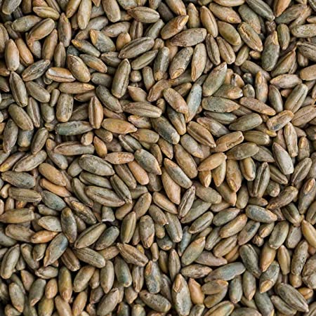 Rye Berries | 4 Pounds | Whole Rye Grain | Non-GMO Bulk Dry | Great for Breads | Product of USA