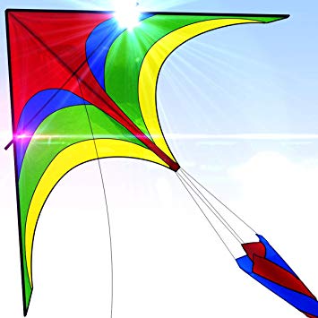 Easy to Fly Large Nylon Bird Kite for Kids and Adults for Beach Trip & Outdoor Activities Perfect for Beginners Flies in Light Breeze Flying String Line Included Big Flyer Childrens Toys