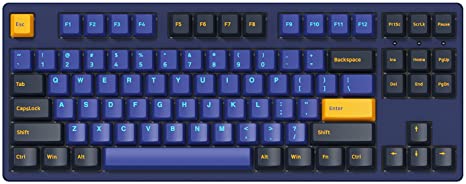 Akko Horizon 3087DS 87-Key TKL Wired Gaming Mechanical Keyboard, Programmable with OEM Profiled PBT Double Shot Keycaps and N-Key Rollover (Akko 2nd Gen Orange Tactile Switch)