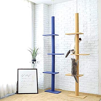 Cat Tree Floor to Ceiling 230-286cm Ajustable High Beige/Blue Wooden Solid Cat Scratcher Pet Playing Fun Tools of YGJT